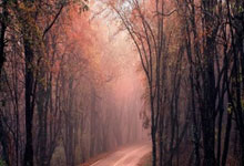 B体育官网：《足球》报记者：云南玉昆新援确认离开，俱乐部无奈启动B计划.