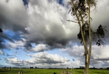 获2034年世界杯主办权 沙特要展现雄心壮志.