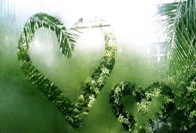 妙在自由 贵在包容（体坛观澜）人民日报.